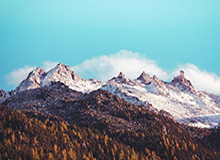 【直播】誓约回应季节：气急败坏，我不在乎，32强总比在家强